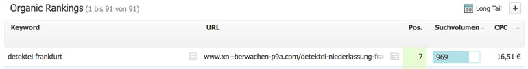 Beispiel für einen erfolgreichen Seotext